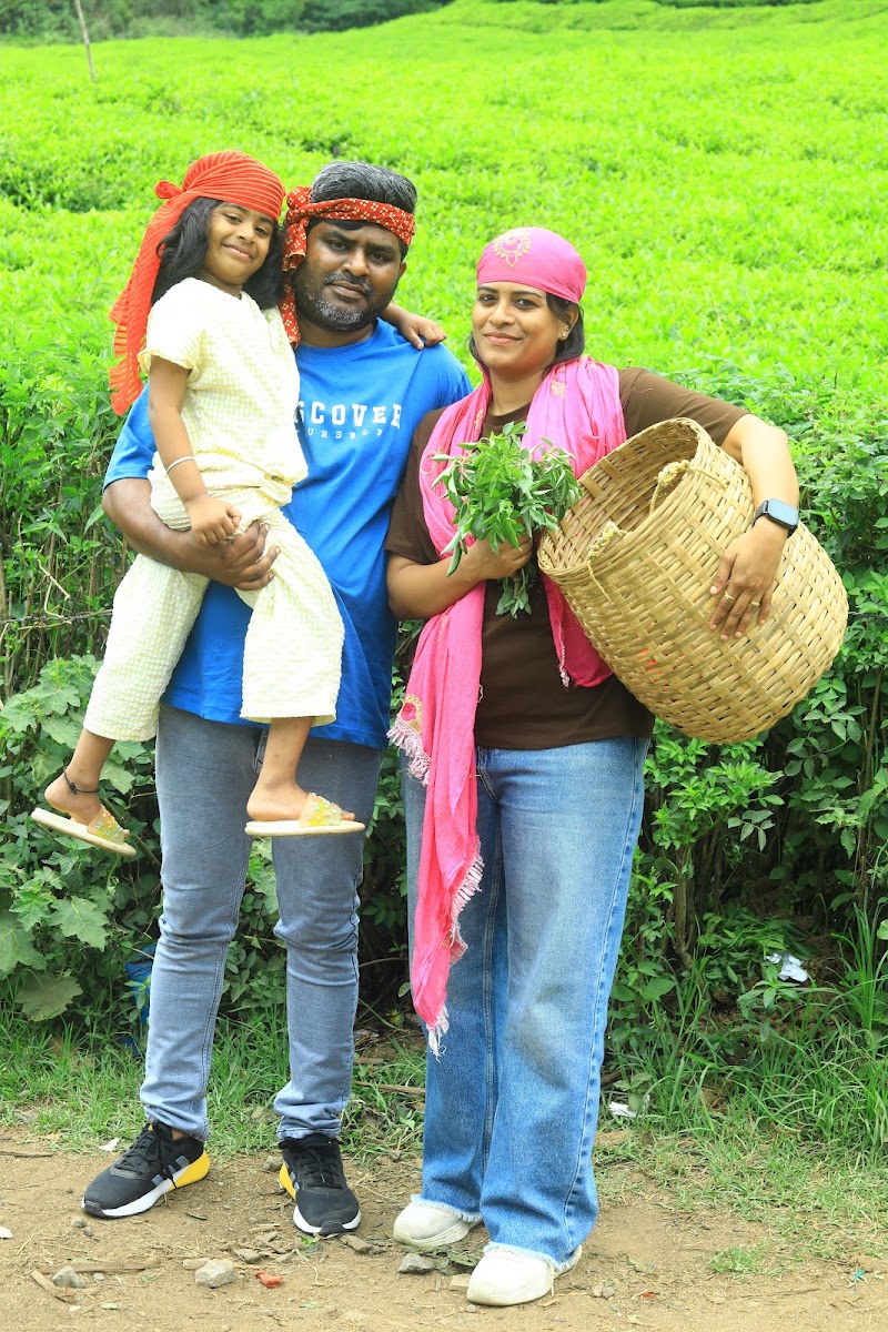MUNNAR TRIP PLANNERS - MUNNAR TRIP PLANNERS New Colony, Munnar, Kerala 685612, India
