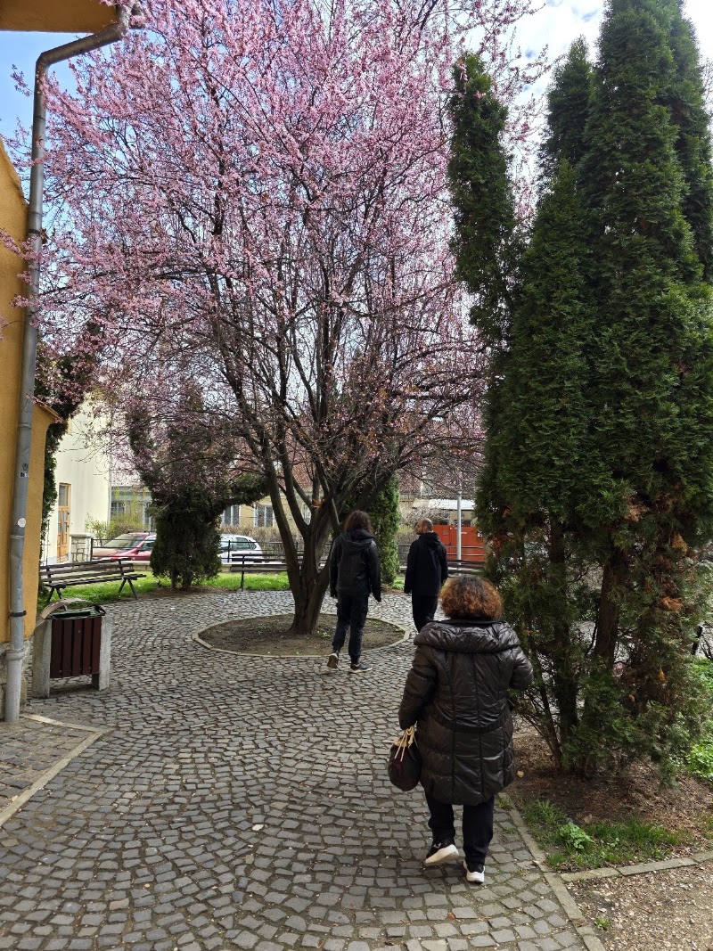 Catherine Gate - Catherine Gate, Centrul Vechi, Brașov, Romania