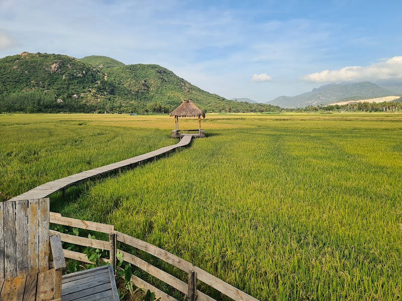 Fairy Stream Sheep Farm - Fairy Stream Sheep Farm, ĐT702, Nam Cam Ranh, Khánh Hòa, Vietnam