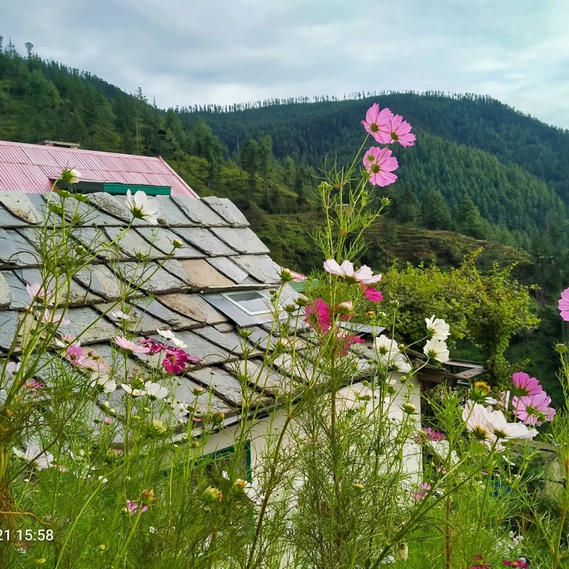 Himalayan Orchard - Himalayan Orchard Reoghati Rd, Rukhla, Himachal Pradesh 171204, India