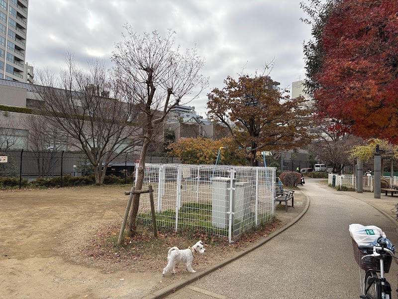 Shinjuku City Tomihisa Sakura Park - Shinjuku City Tomihisa Sakura Park 21-17 Tomihisachō, Shinjuku City, Tokyo 162-0067, Japan
