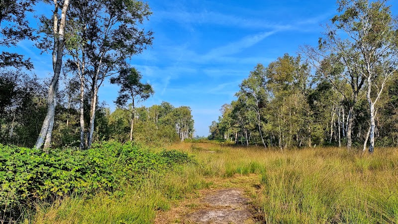 Nationaal Park De Groote Peel - Nationaal Park De Groote Peel, Moostdijk 15, 6035 RB Ospel, Netherlands