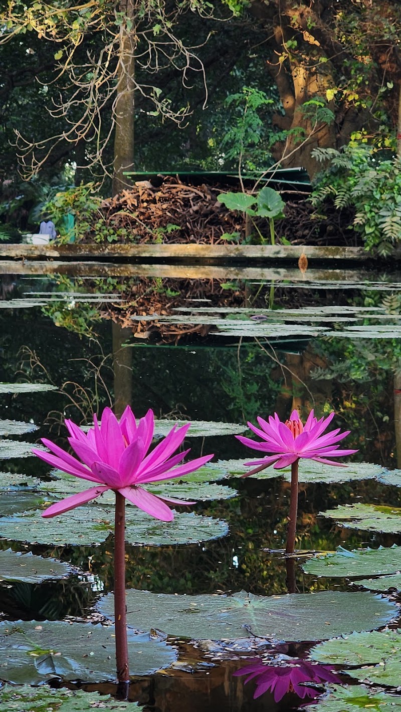 Elliot Park - Elliot Park Jawaharlal Nehru Rd, Maidan, Kolkata, West Bengal 700021, India