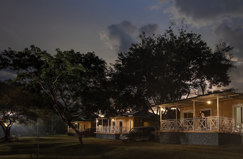 Wild Forest Resort, Masinagudi - Wild Forest Resort, Masinagudi, Chemmanatham Road, Mavanalla, Masinagudi, Tamil Nadu 643223, India