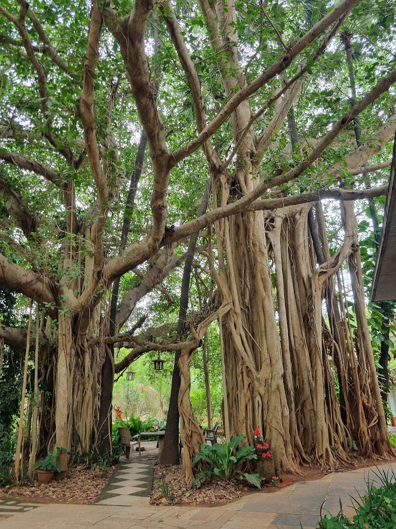 Booking Centre - Booking Centre Visitor's Centre, Auroville Rd, Auroville, Irumbai, Tamil Nadu 605101, India