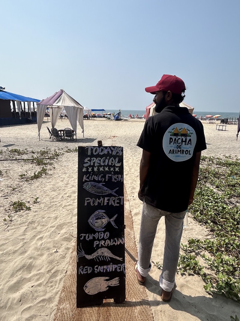 Pacha De Arambol - Pacha De Arambol, Arambol Beach, Arambol, Goa 403524, India