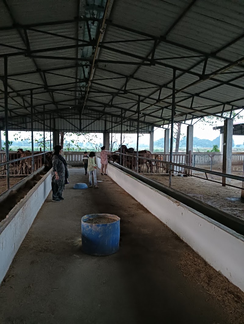 HARI OM BABA GAU RAKSHAN TRUST - HARI OM BABA GAU RAKSHAN TRUST, 285, Jarway, Bhilai, Chhattisgarh 490024, India