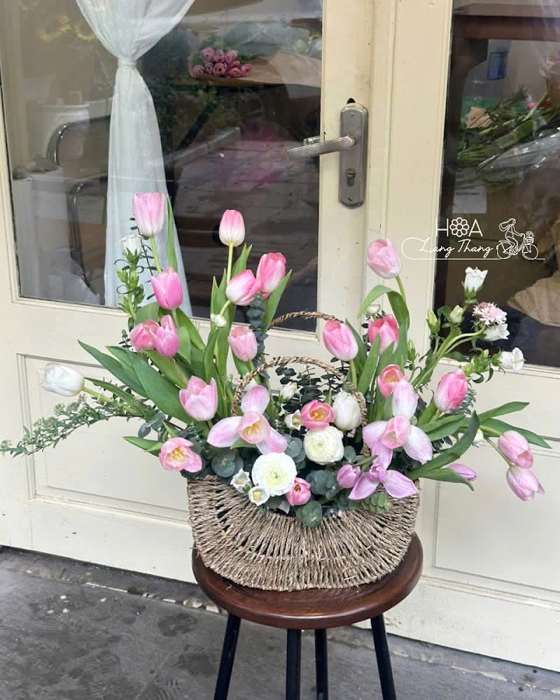 Hoa Lang Thang Florist - Shop Hoa Tươi Cao Cấp Hà Nội - Hoa Lang Thang Florist - Shop Hoa Tươi Cao Cấp Hà Nội, 11 P. Liên Trì, Cửa Nam, Hà Nội 100000, Vietnam