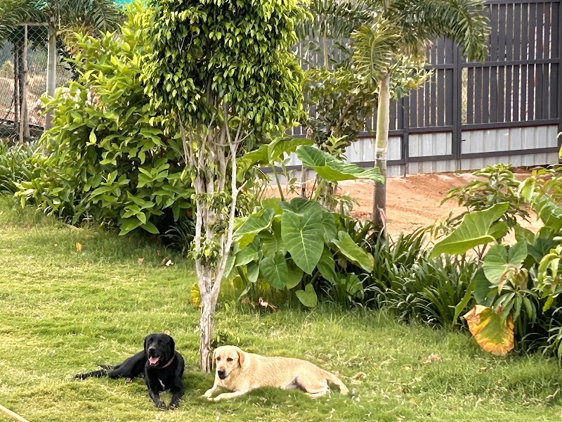 Stone Hills - Stone Hills Stone Hills, 25/1 Kempathimmanahalli Karahalli Post Nandi Hills Road Devanahalli Taluk, Rural, Bengaluru, Kempathimmanahalli, Karnataka 562164, India