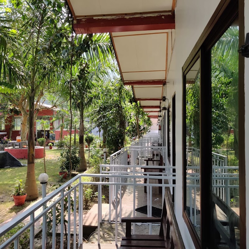 Riverside Camping in Rishikesh - Riverside Camping in Rishikesh, Dhalwala, Rishikesh, Uttarakhand 249137, India