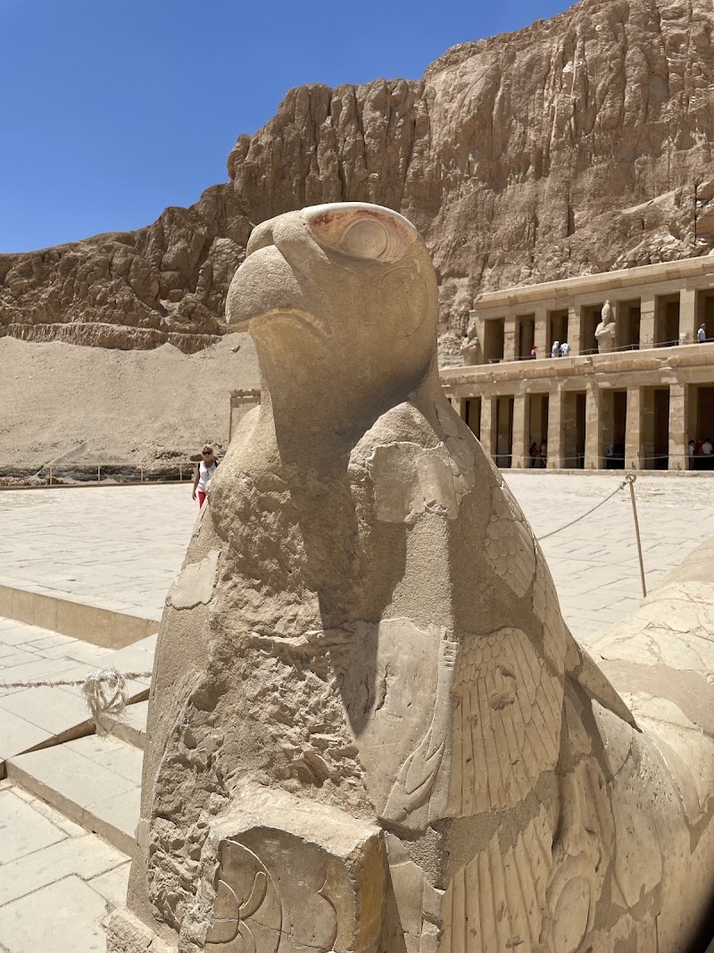 Memphis Tours Egypt - Memphis Tours Egypt, MJPQ+VRW، Cornish Street، Gazirat Al Awameyah, Luxor, Luxor Governorate 1362243, Egypt