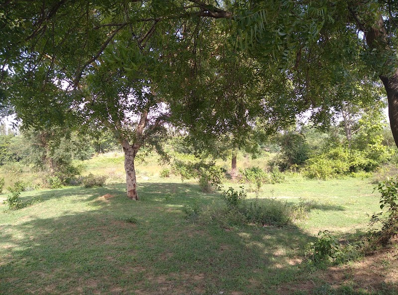Picnic spot - Picnic spot Thakurain Tola, Chhattisgarh 491111, India