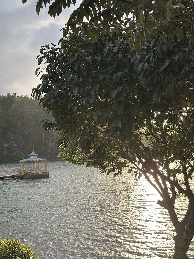 Hirekolale Lake - Hirekolale Lake 9P55+GV, HirekoLale, Karnataka 577101, India