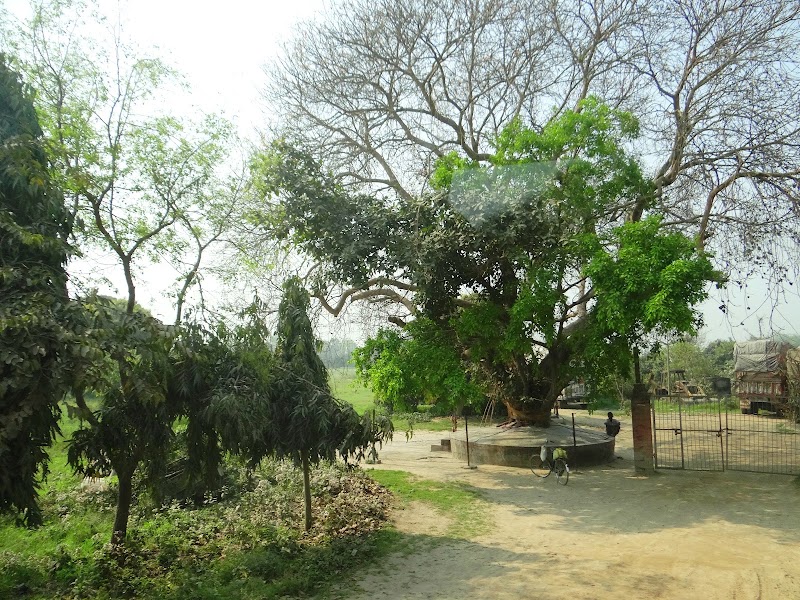 Danapur - Danapur Danapur, Bihar, India