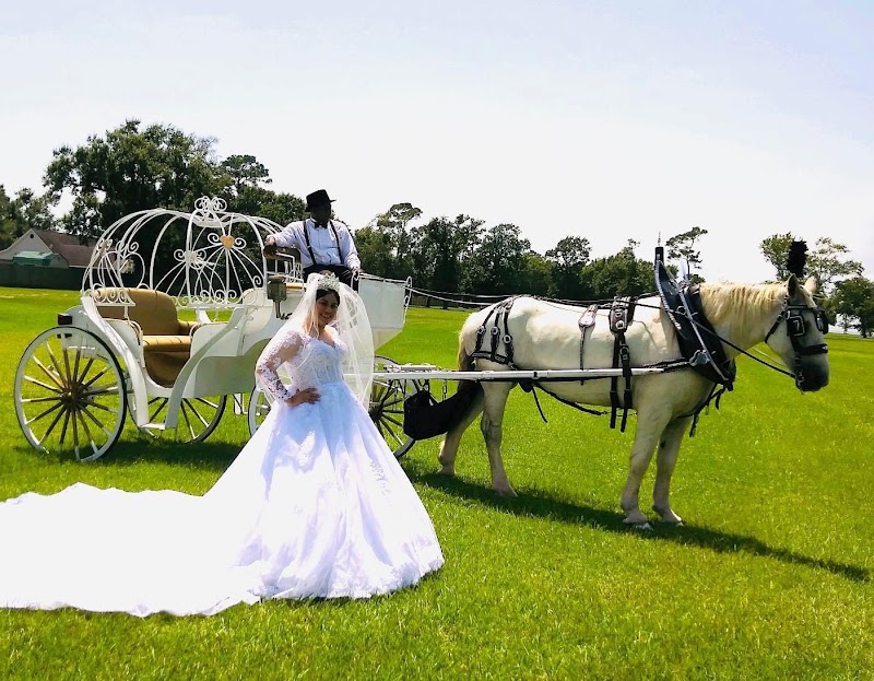 Vintage Carriage Company, LLC - Vintage Carriage Company, LLC 8013 Willow St, Houston, TX 77088, USA