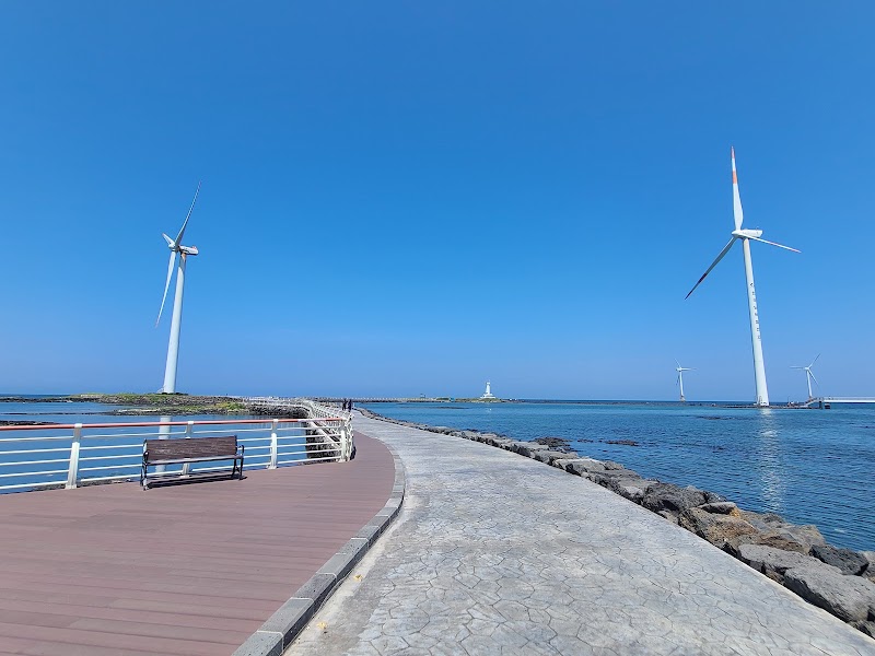 Sinchang Windmill Coastal Road - Sinchang Windmill Coastal Road, 1323 Sinchang-ri, Hangyeong-myeon, Cheju, Jeju-do, South Korea