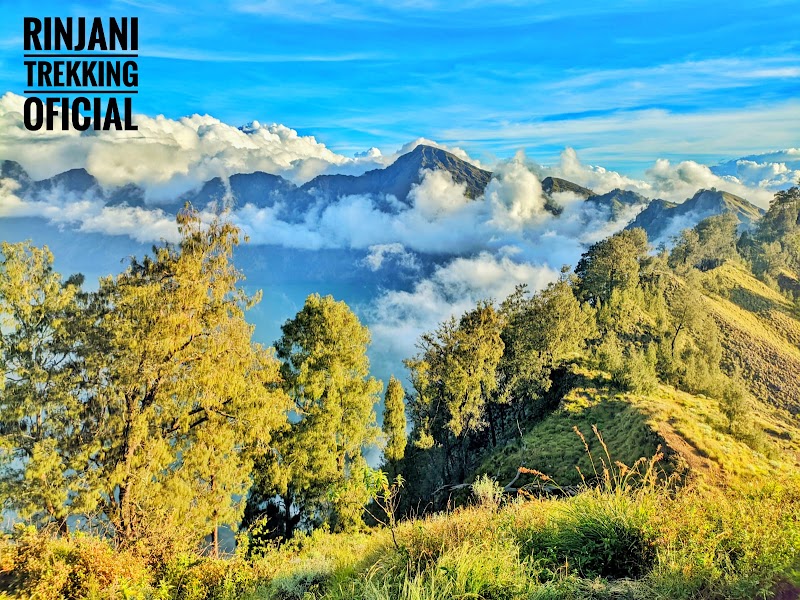 Rinjani Trekking Official - Rinjani Trekking Official, Jalan Raya Anyar - Kopang Ancak, Karang Bajo, Bayan, North Lombok Regency, West Nusa Tenggara 83354, Indonesia