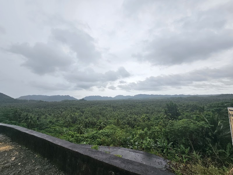 Coconut Plantation View Point - Coconut Plantation View Point, R365+WRH, Siargao Circumferential Rd, Pilar, Surigao del Norte, Philippines