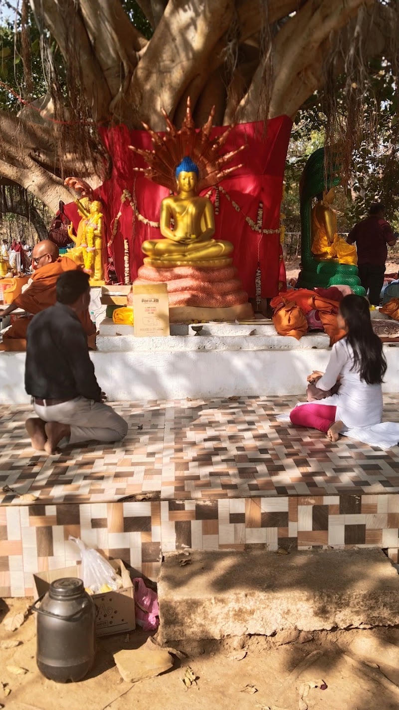 Buddha Vihar, Sangharamgiri - Buddha Vihar, Sangharamgiri, C6HX+8F4, Ramdegi Mandir, Maharashtra 442903, India