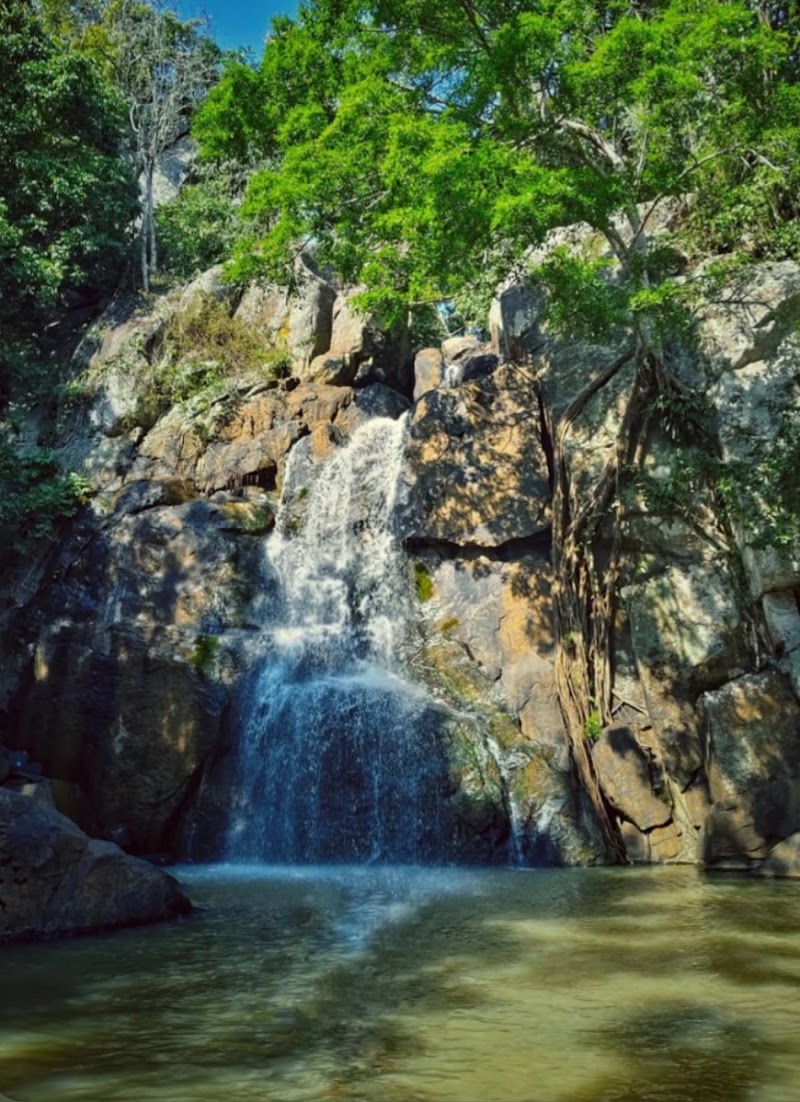 Go Explore Tour and Travel - Go Explore Tour and Travel, Daringbadi, Odisha 762104, India