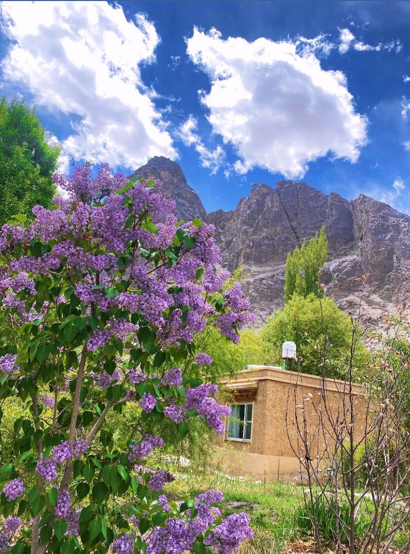 La Shayok Resort - La Shayok Resort, Nubra Valley, Hunder, 194101