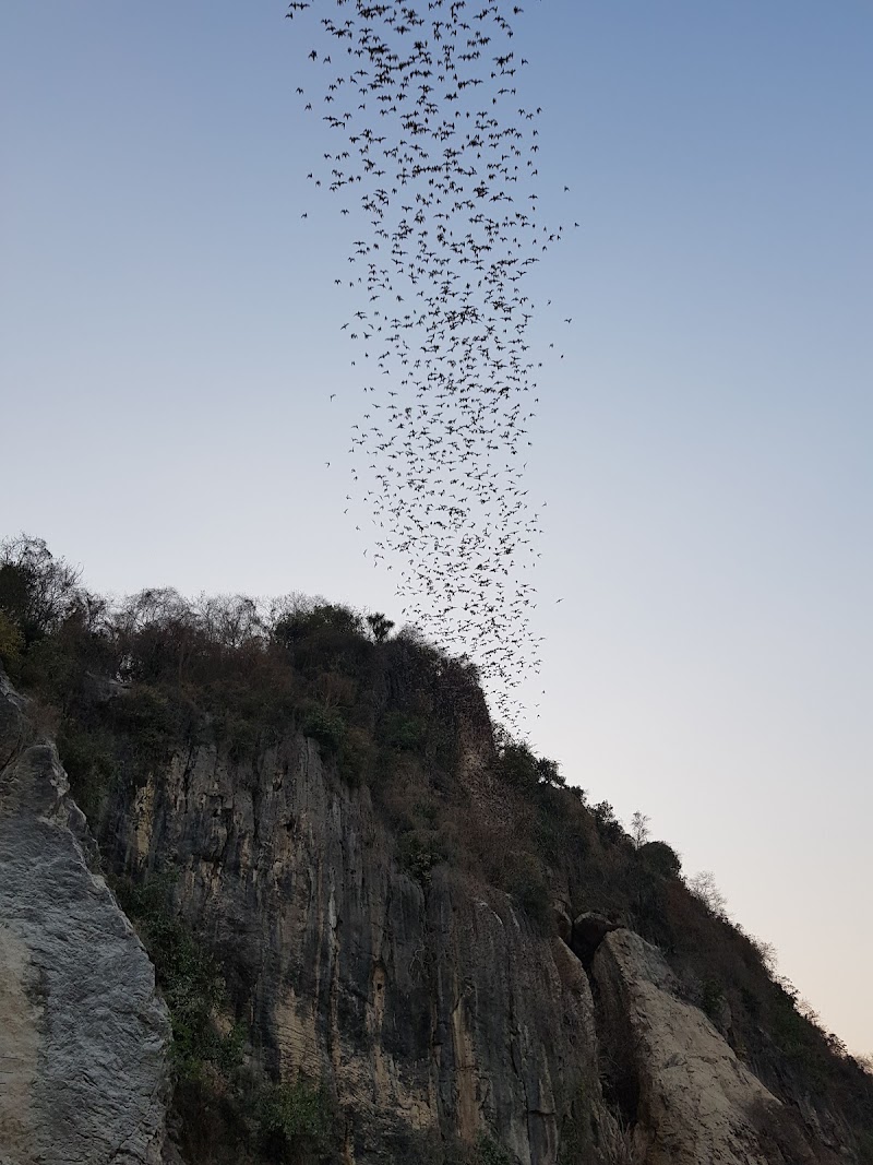 Bat Cave Phnom Sampov - Bat Cave Phnom Sampov, បាណន់, Cambodia