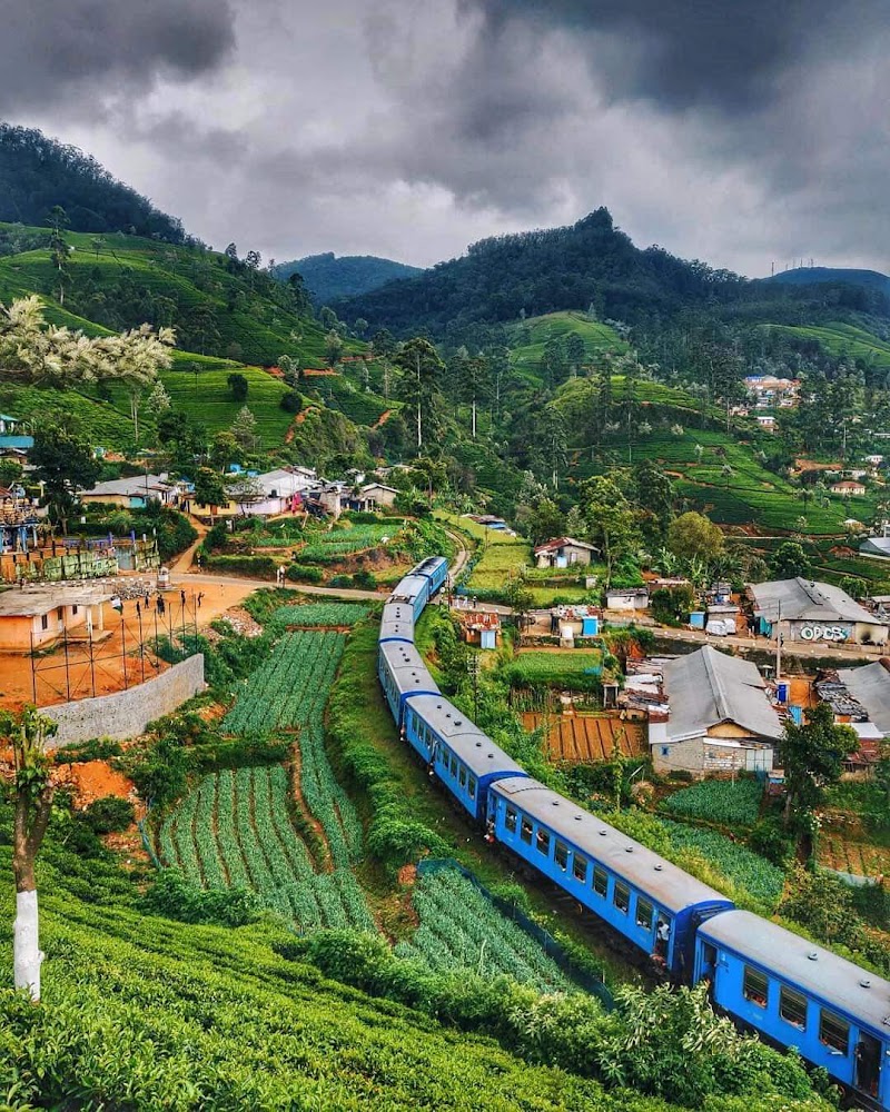 Nanuoya - Nanuoya, Sri Lanka