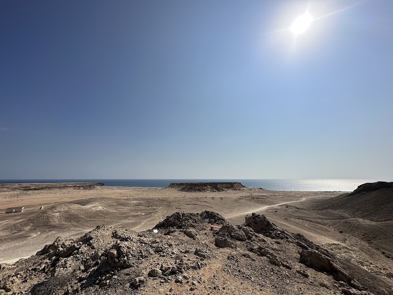 Ras Al Jinz Turtle Reserve - Ras Al Jinz Turtle Reserve, Ras al Jinz، صور، Oman