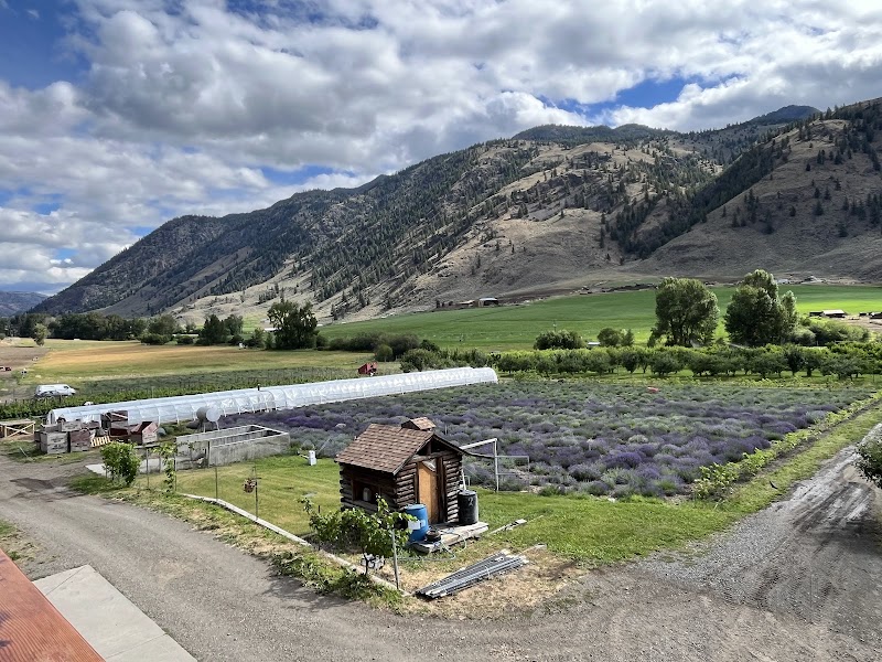Tree To Me Organics - Tree To Me Organics 1217 Hwy 3A, Keremeos, BC V0X 1N4, Canada