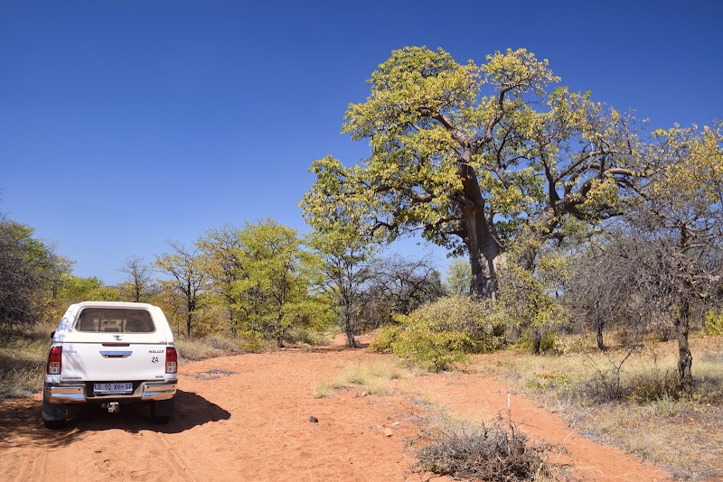 Musina Baobab Reserve - Musina Baobab Reserve, Musina, 0900, South Africa