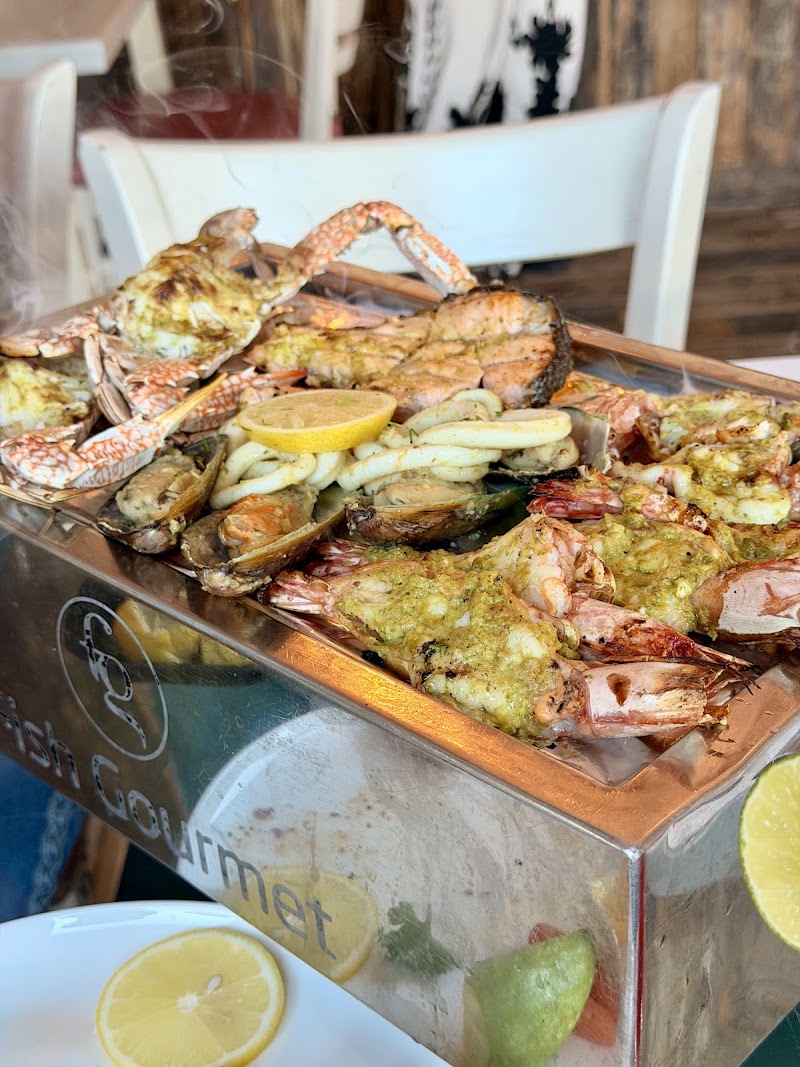 Fish Gourmet Seafood Restaurant - Fish Gourmet Seafood Restaurant Jumeirah Fish Market, Jumeirah 1 - FISH HARBOUR 1 - Jumeira St - Jumeirah - MARINA 1 - Dubai - United Arab Emirates