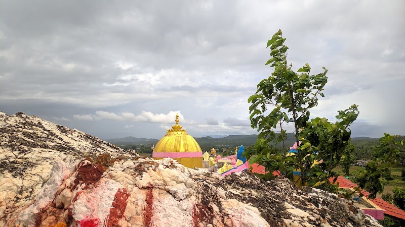 Shri Ranganatha Swamy Temple - Bilikallu Betta - Shri Ranganatha Swamy Temple - Bilikallu Betta QJRF+C79, Hunasekatte, Karnataka 577115, India