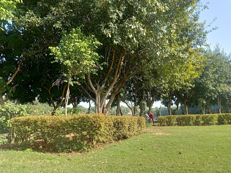 Tughlakabad District Park - Tughlakabad District Park, G759+R73, Mehrauli - Badarpur Rd, Tughlaqabad Village, Tughlakabad, New Delhi, Delhi 110044, India
