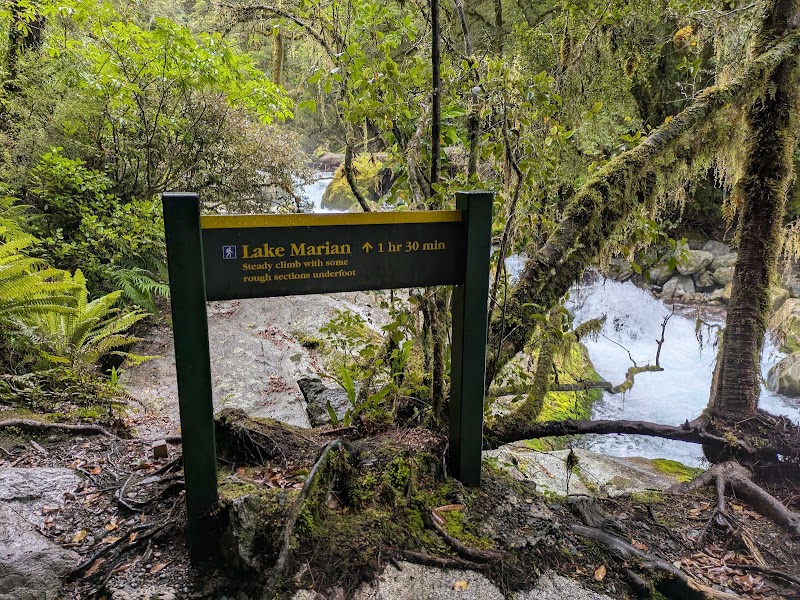 Lake Marian Track - Lake Marian Track, Southland 9679, New Zealand