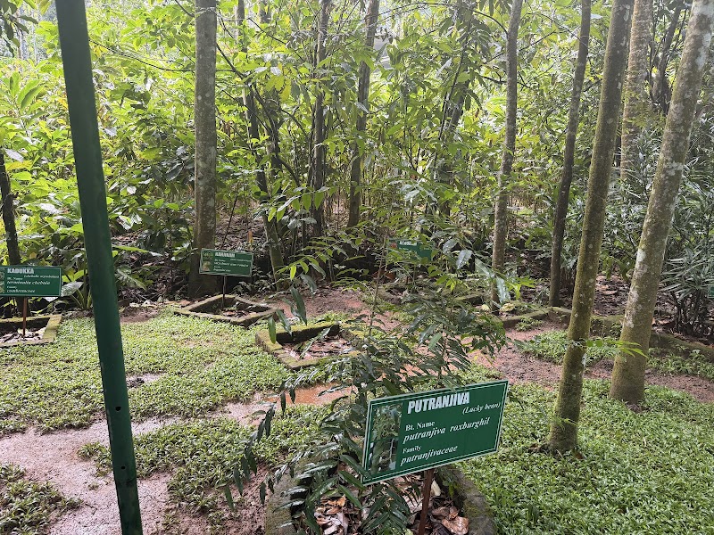 The Spice Route Ayurvedic & Spices Garden - The Spice Route Ayurvedic & Spices Garden Amaravathi, Kumily, Kerala 685509, India