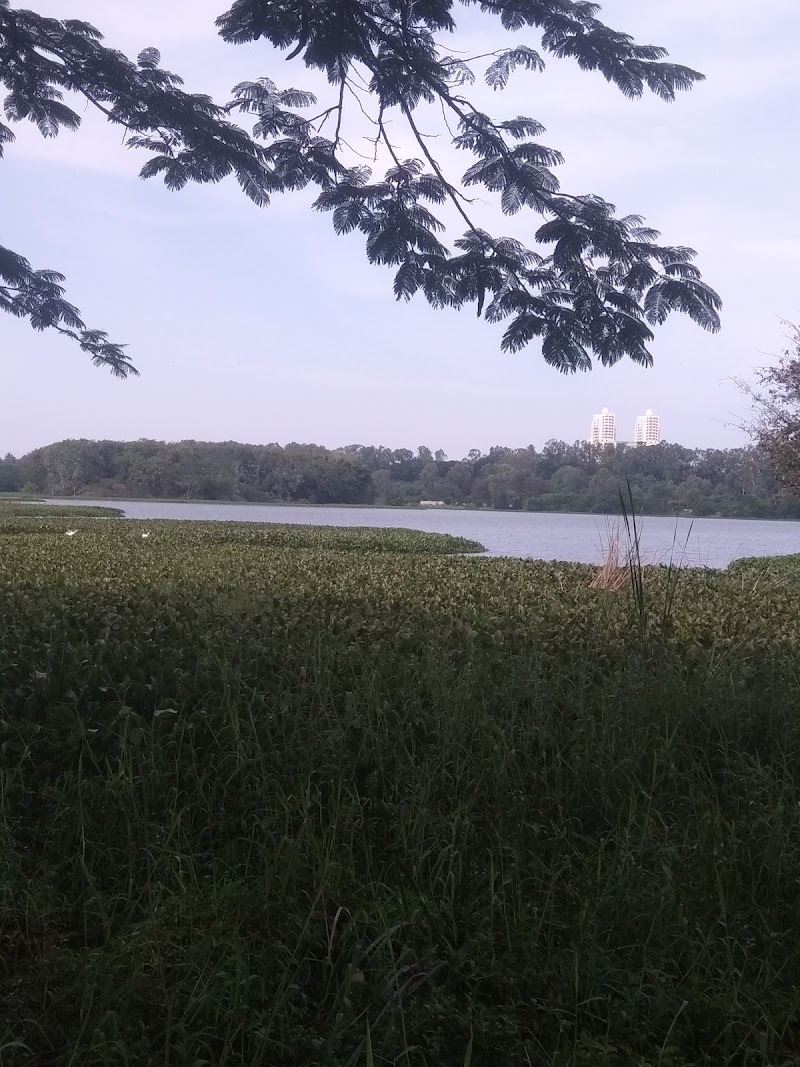 Hebbal Lake - Hebbal Lake, Hebbal Kempapura, Bengaluru, Karnataka 560092