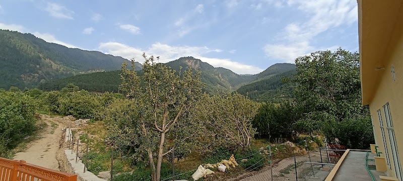 annie's hilltop retreat - annie's hilltop retreat 34QX+79G, Larankelo, Himachal Pradesh 175104, India