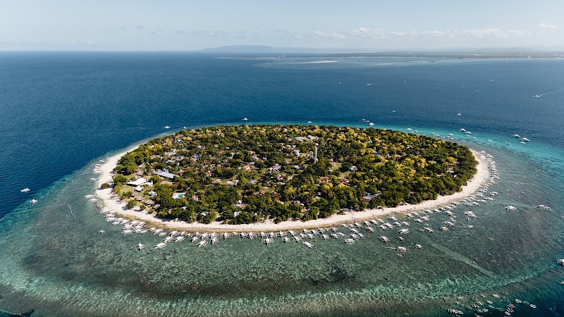 Balicasag Marine Sanctuary