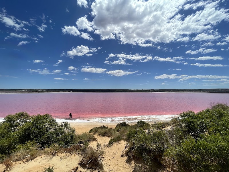 Hutt Lagoon - Hutt Lagoon, Yallabatharra WA 6535, Australia