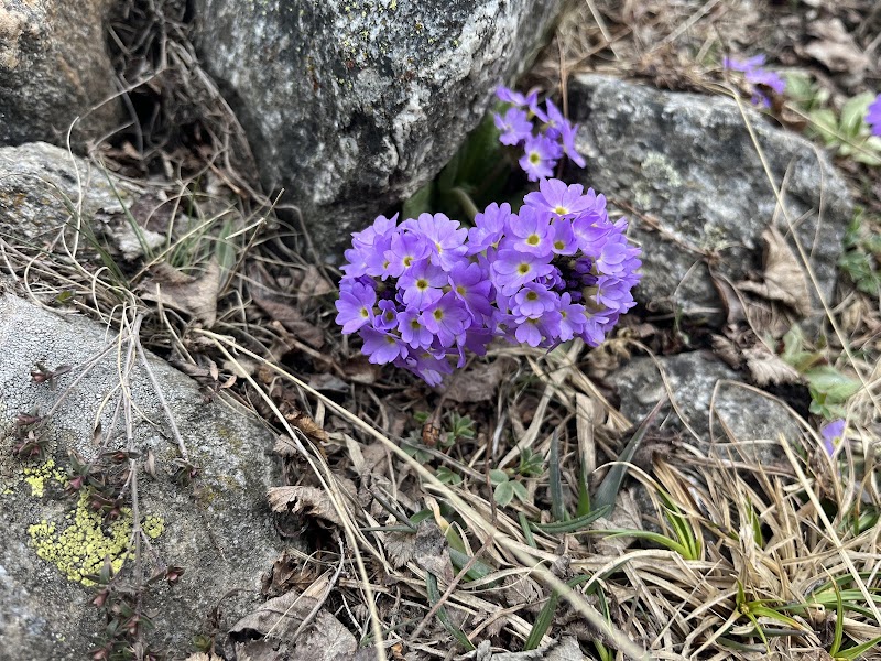 Chaka peak - Chaka peak G6Q4+2W, Dhar Shulacha Pilaya, Himachal Pradesh 172108, India