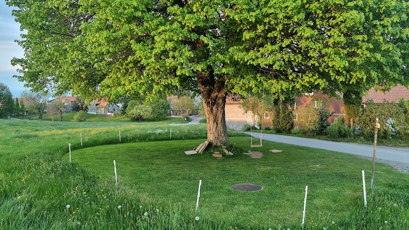 Zur Grossen Linde - Zur Grossen Linde Benzenrüti 1, 9410 Heiden, Switzerland