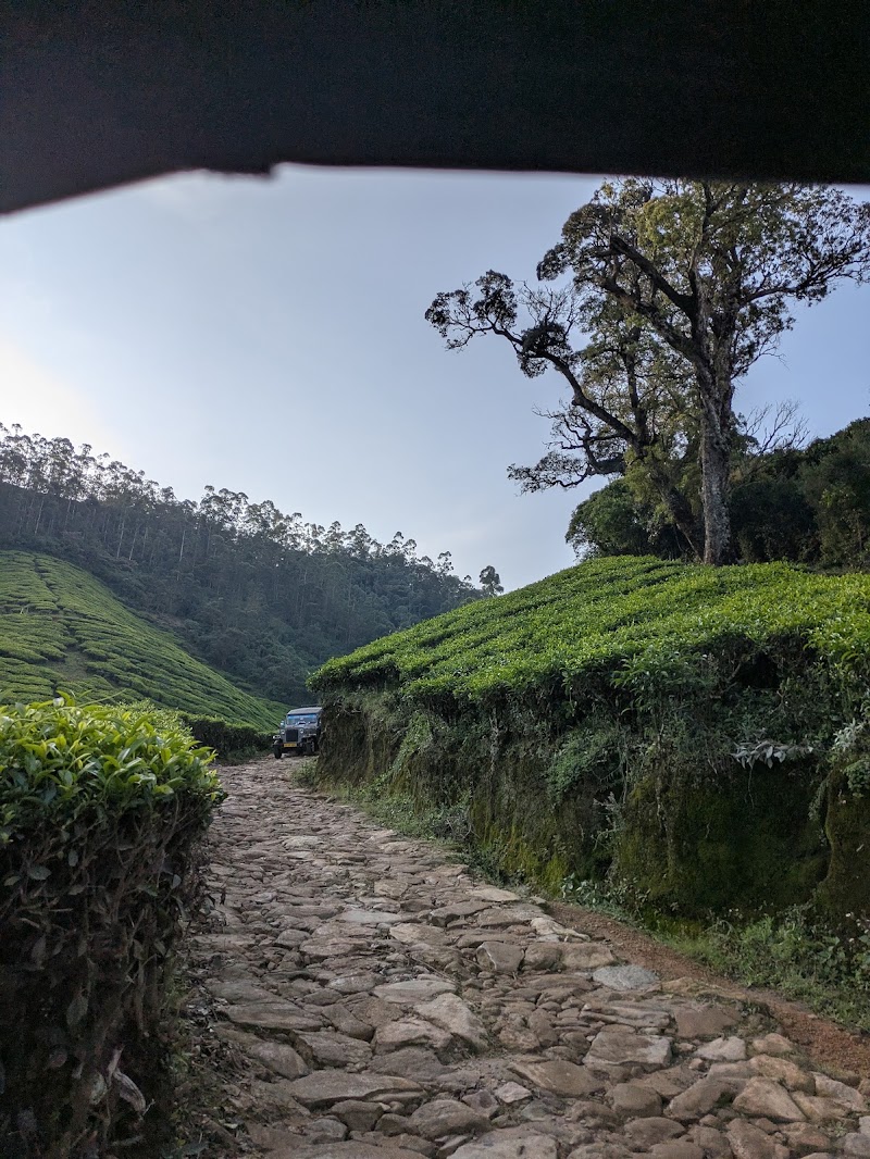 Suryanelli Tea Garden View Point - Suryanelli Tea Garden View Point 3688+MX9, Suryanelli-Kolukkumalai Tea Estate Road, Suryanelli, Kerala 685618, India