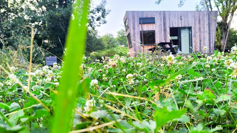 Moose tiny House Ambur - Moose tiny House Ambur Les Berthons, 63230 Saint-Jacques-d'Ambur, France