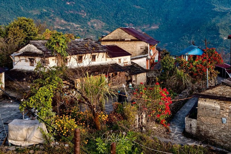 Mountain Lodges of Nepal - Dhampus - Mountain Lodges of Nepal - Dhampus, Machhapuchhre Tourist Rd, Dhampus 33700, Nepal