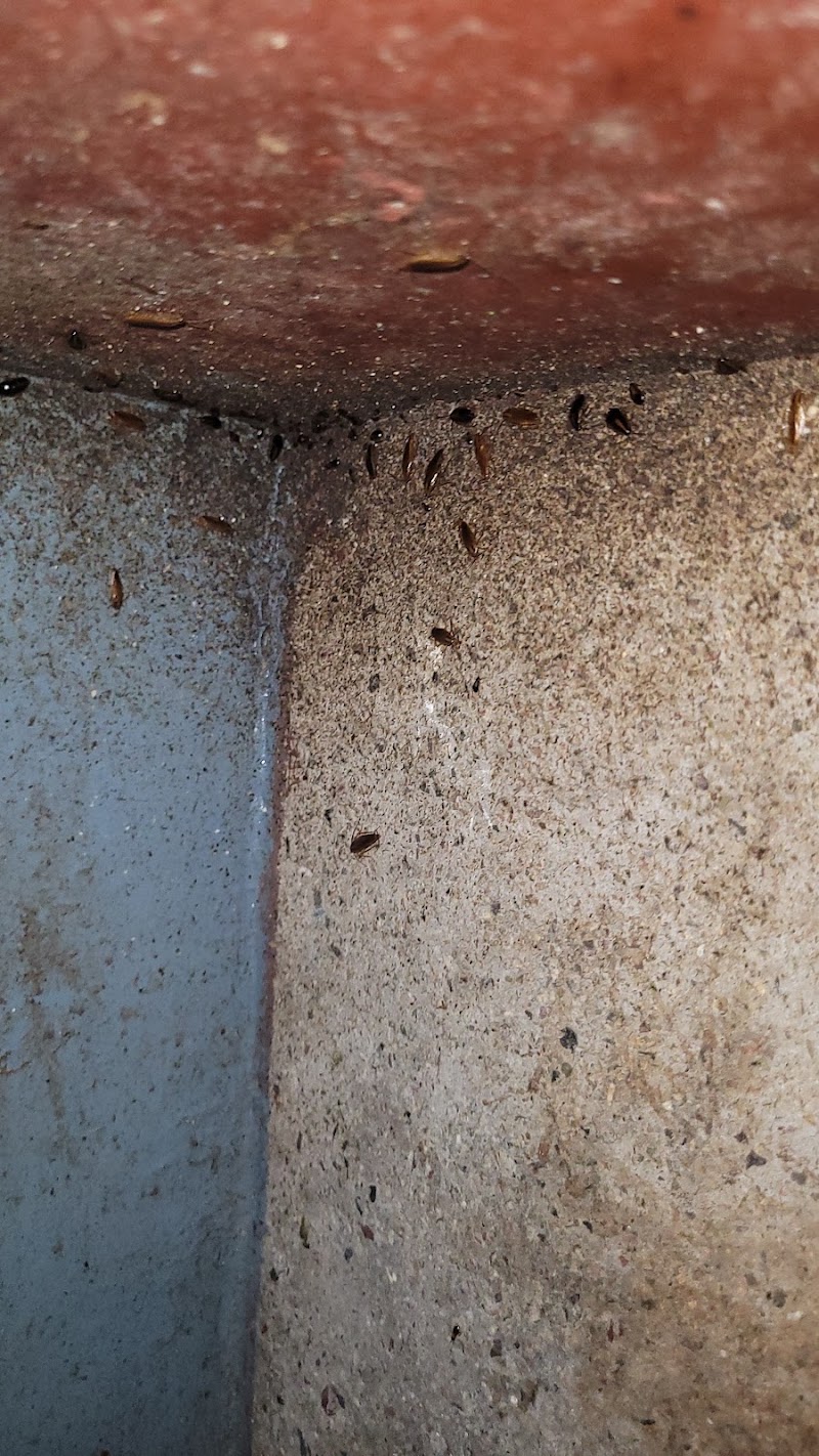 I Care Godrej Pest Control Services - I Care Godrej Pest Control Services, Govindraj nagar, Govindaraja Nagar Ward, Govindaraja Nagar, Vijayanagar, Bengaluru, Karnataka 560040, India