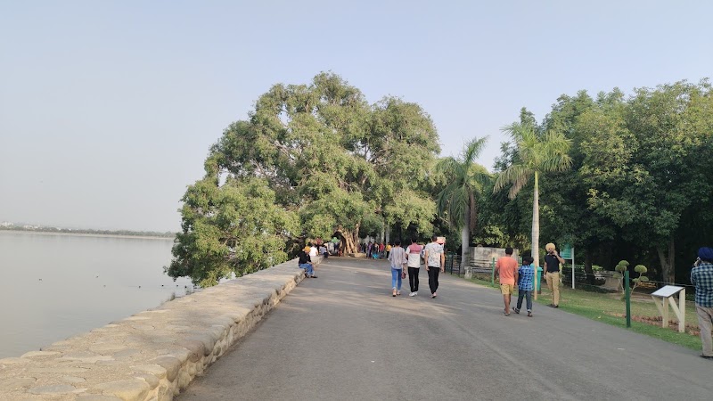 The Lake Peepal Tree - The Lake Peepal Tree PRR6+VV8, Sector 1, Chandigarh, 160001, India