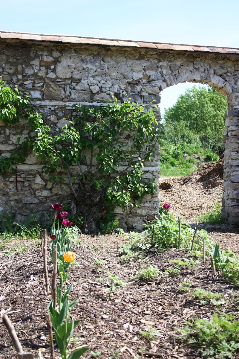 Pouplier Garden - Pouplier Garden, 60 Rue de Saint-Antoine, 93100 Montreuil, France