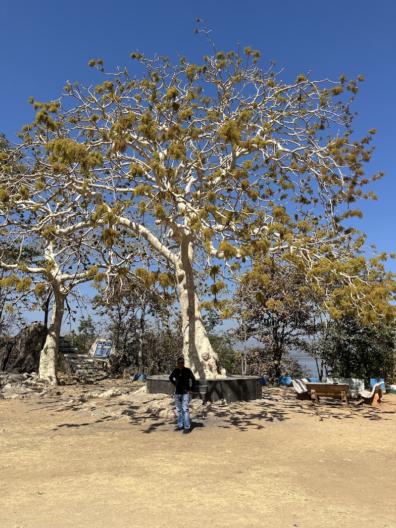 REST HOUSE - REST HOUSE, 9JQ4+WH, Khudiya, Chhattisgarh 495115, India