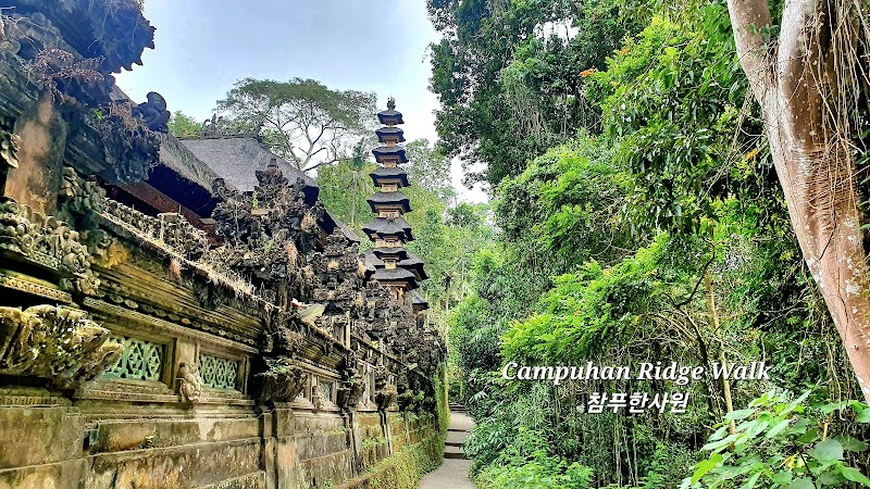 Campuhan Ridge Walk - Campuhan Ridge Walk Jl. Raya Ubud, Kelusa, Kec. Payangan, Kabupaten Gianyar, Bali, Indonesia