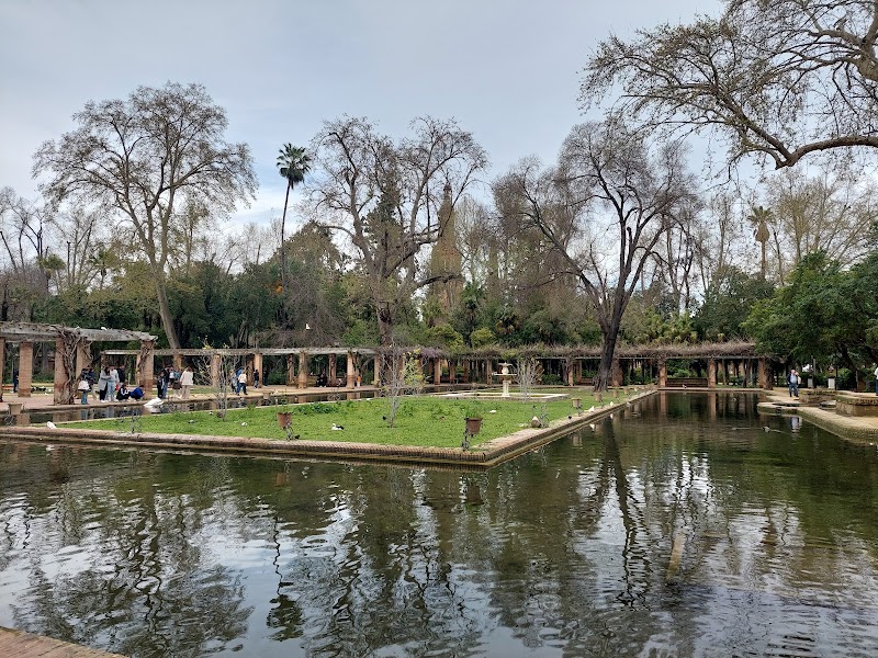 Estanque de los Lotos